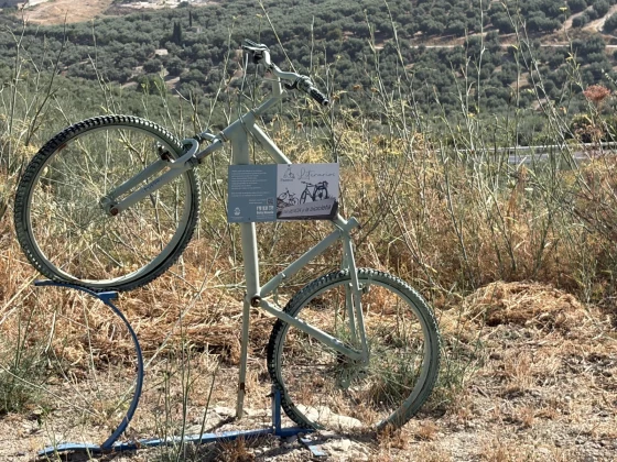 Titelbild zu Spektakuläres Etappenziel: Die Charity Tour erreicht das beeindruckende Ronda