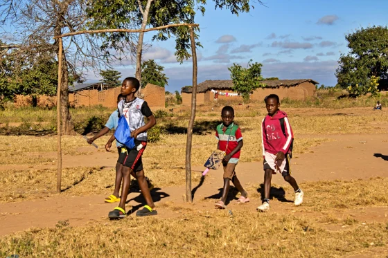 Titelbild zu Malawi: Gemeinsam Zukunft pflanzen